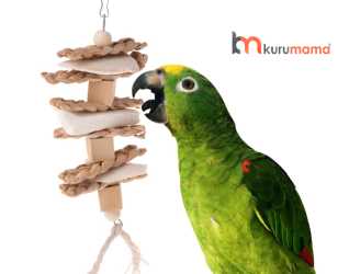 papağan bakımı ve özellikleri
