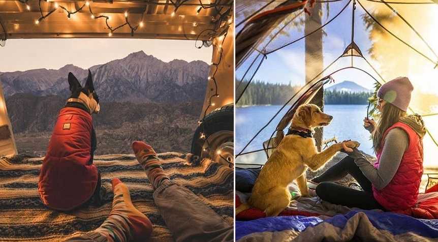 Köpeğinizle kamp yaparken nelere dikkat etmelisiniz?