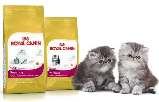 Royal Canin kedi maması