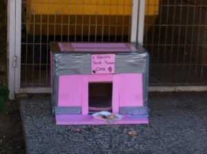 sokak kedileri için kedi evi