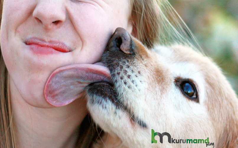 Köpekler İnsanların Duygularını Anlayabilir mi?